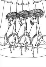 coloring page Madagascar 3